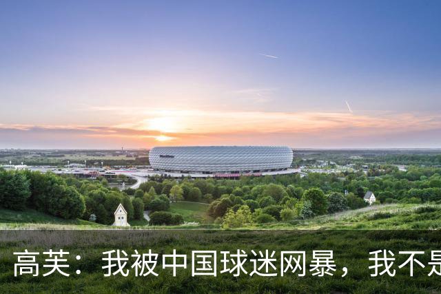 高芙：我被中国球迷网暴，我不是小偷！谁料美国网友抨击更猛烈